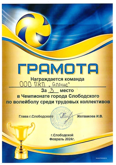 Чемпионат г. Слободского по волейболу среди трудовых коллективов